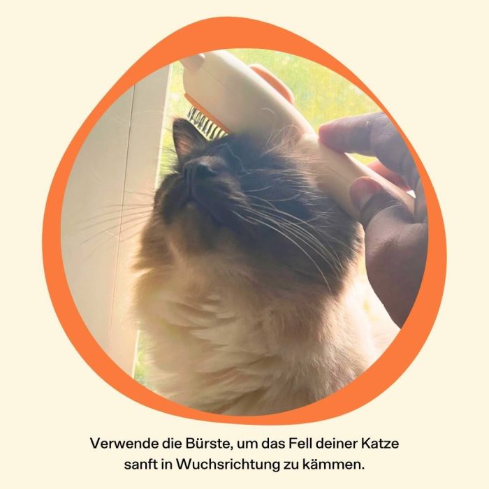 4_c13d5f2d-b6a8-4840-95ec-9fa673a34114.jpg Die ergonomische Katzenbürste