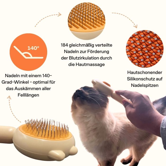 6_a3e9a581-1f8c-4ca8-a505-d1a98add0966.jpg Hautpflege Bundle