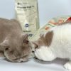 Belly-Relief Probierpack mit GRATIS Fellpflege-Supplement
