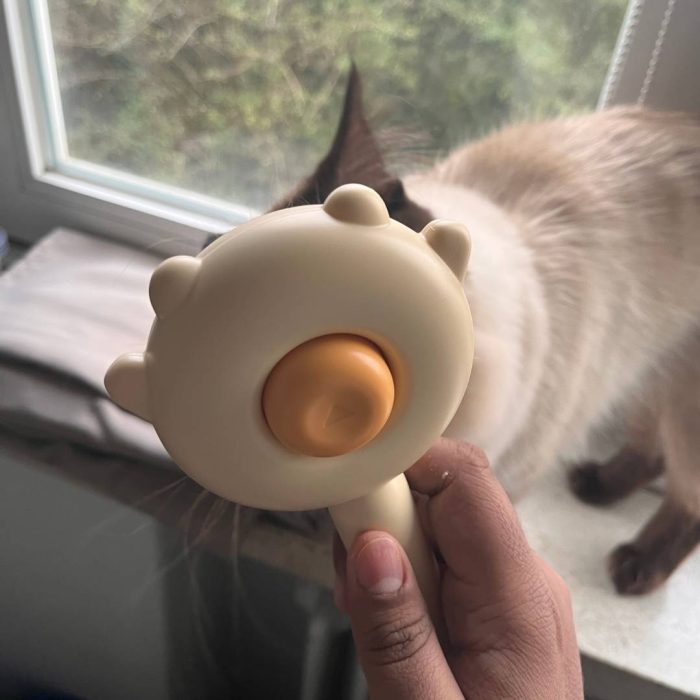Brush.jpg Die ergonomische Katzenbürste