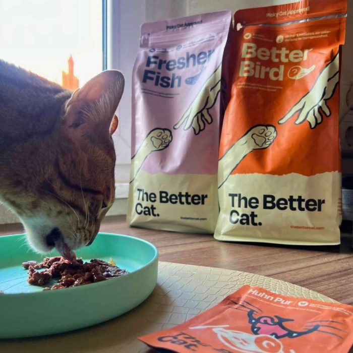 CatMixedEating.jpg Nass Super Sparpaket
