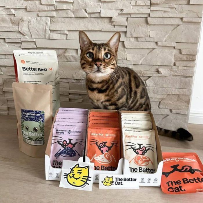 Cat_Staff.jpg Nass Super Sparpaket
