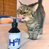 Hydration-Maxi-Probierpack