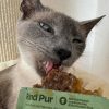 Belly-Relief Probierpack mit GRATIS Fellpflege-Supplement