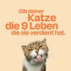12x85g Monoprotein Huhn Pur Nassfutter