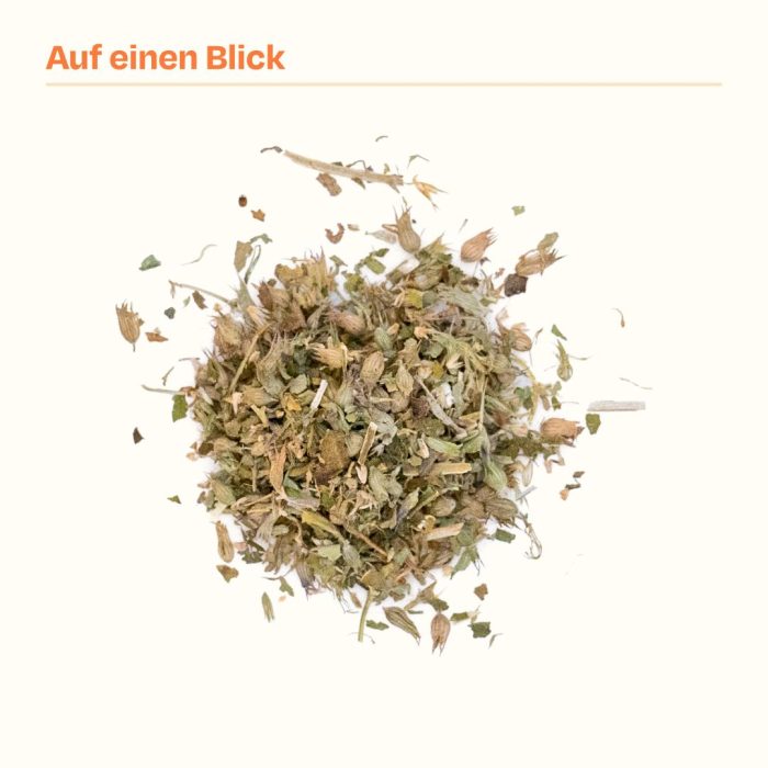 KMinze.jpg 30g Handverlesene Katzenminze