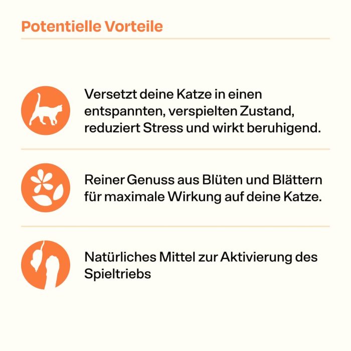 Katzenminze3.jpg 30g Handverlesene Katzenminze