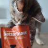 Maxi Gesundheits Starterpack inkl. GRATIS Thermobecher | Beige