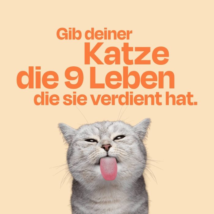 VP8.jpg Nassfutter Volumenpaket - Dosen